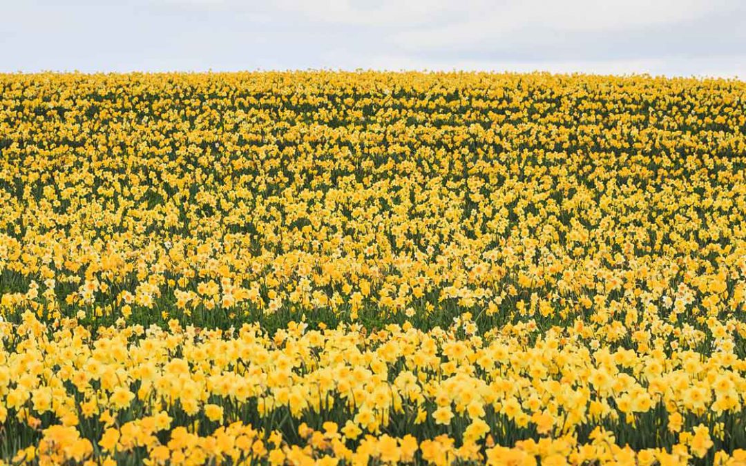 Spring is here!