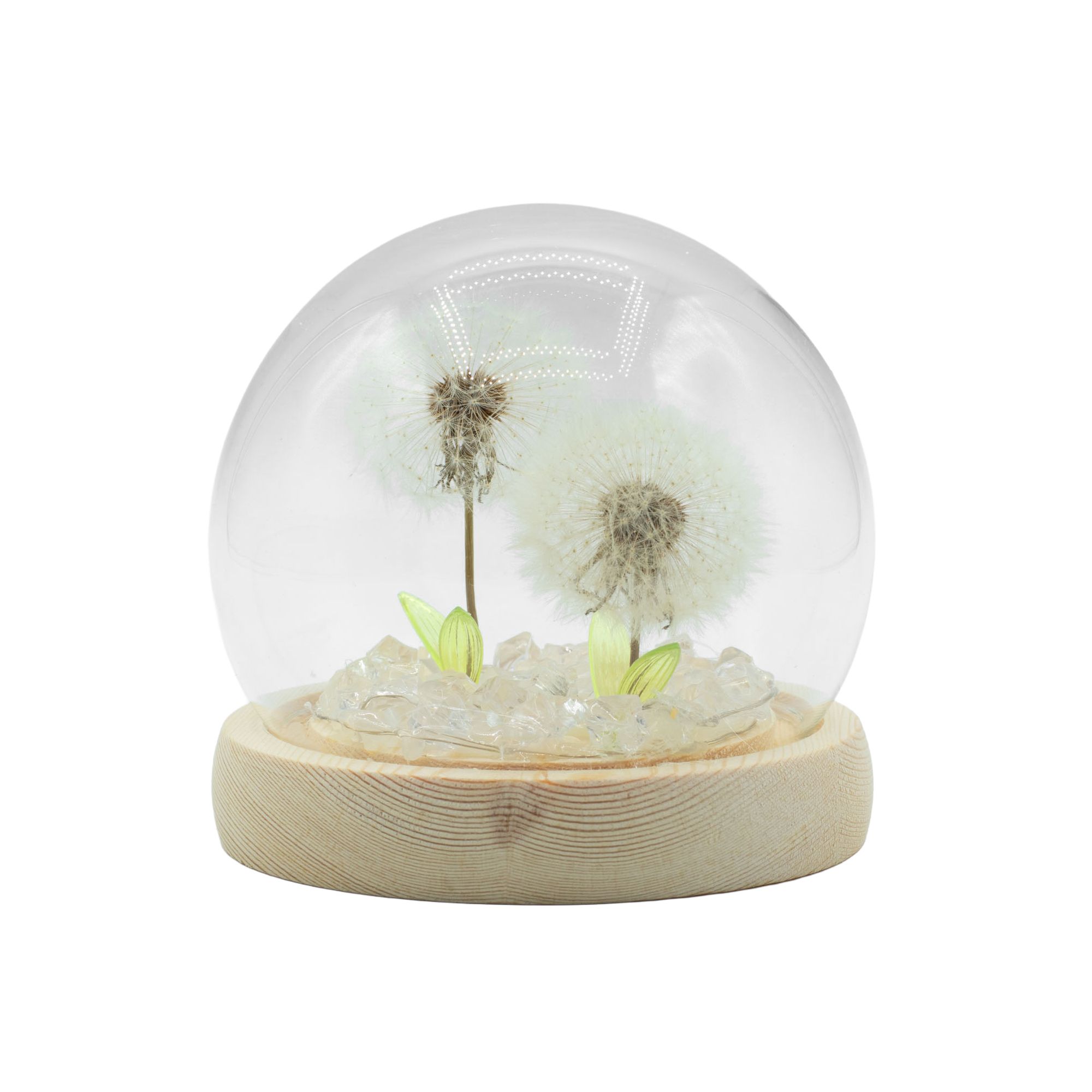 Floral Glow Garden Dome - 2 Dandelions - LED USB - Image 3