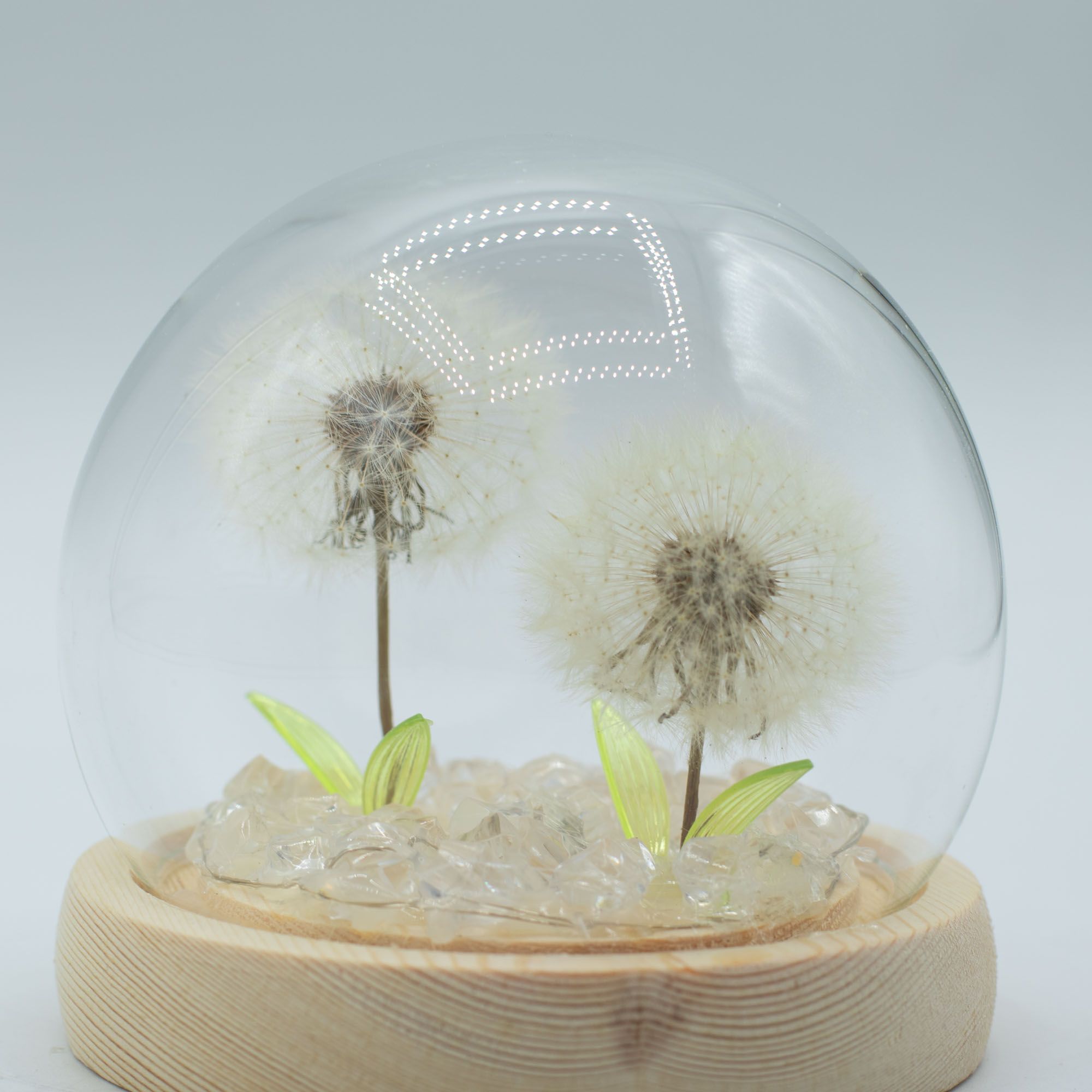 Floral Glow Garden Dome - 2 Dandelions - LED USB - Image 4