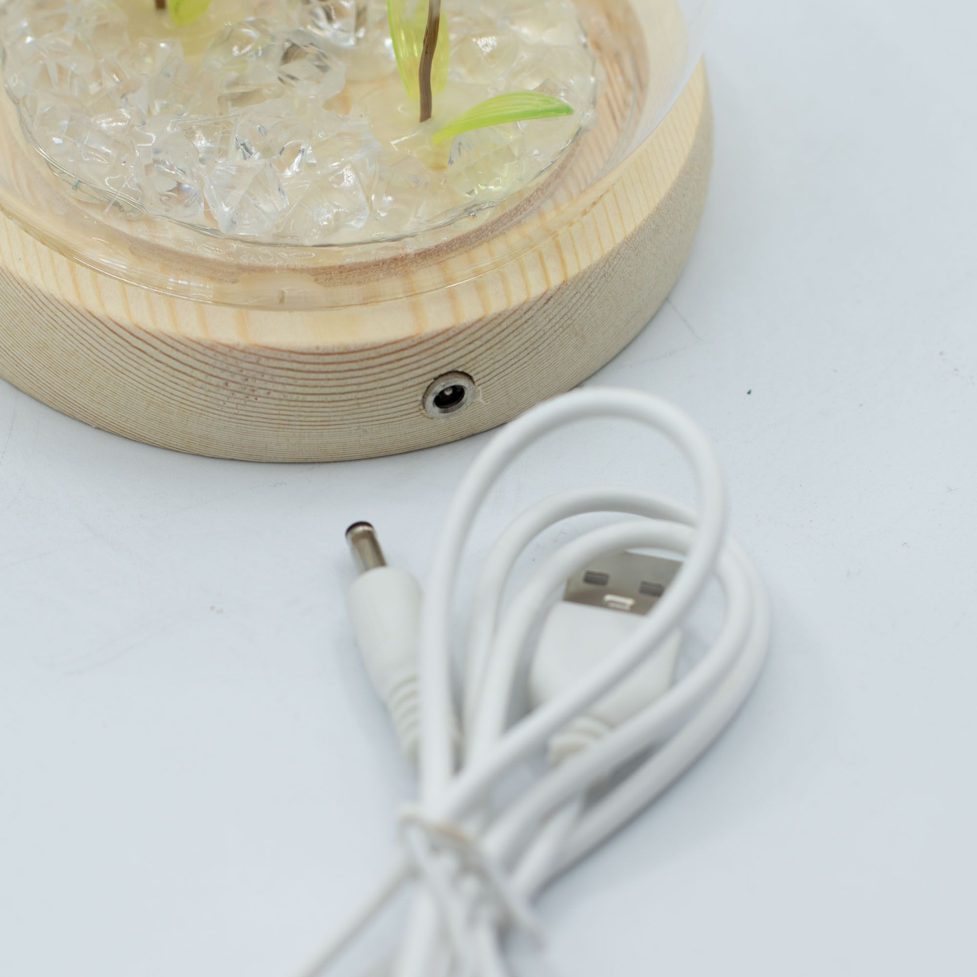 Floral Glow Garden Dome - 2 Dandelions - LED USB - Image 5