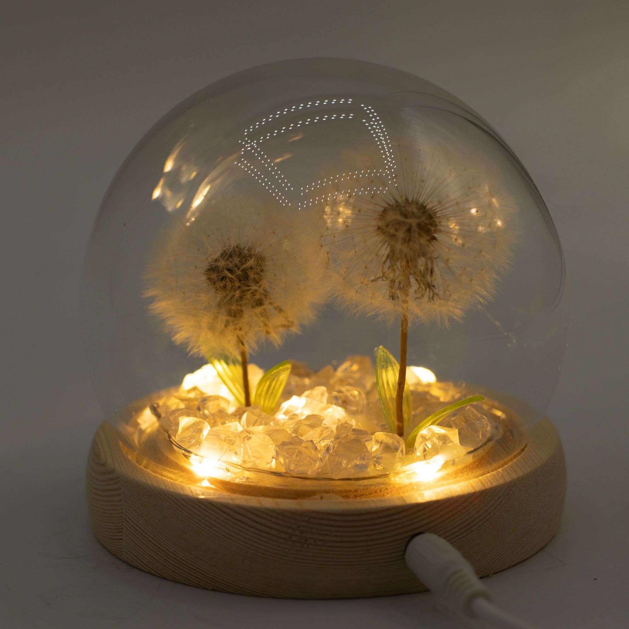 Floral Glow Garden Dome - 2 Dandelions - LED USB - Image 2