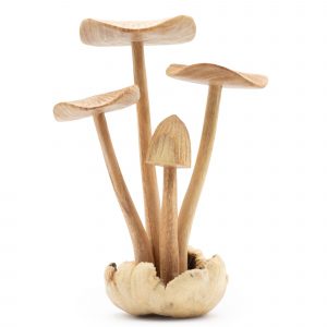 Handmade Wood Art Carving - Set of 4 Large Mushrooms